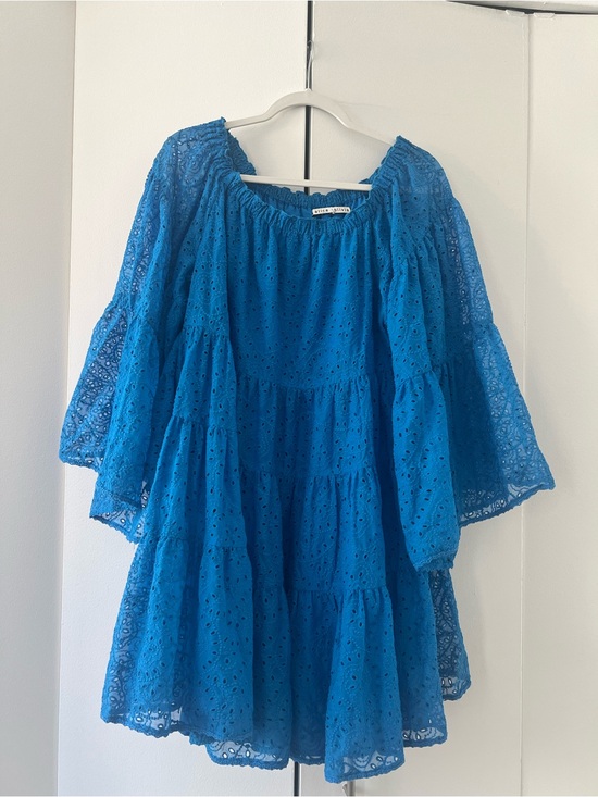 Alice + Olivia Dresses & Skirts - Alice + Olivia Bright Blue Eyelet Doll Dress 6